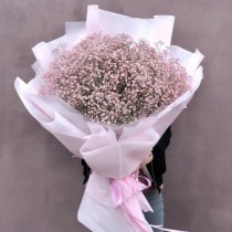 Large bouquet of pink gypsophila